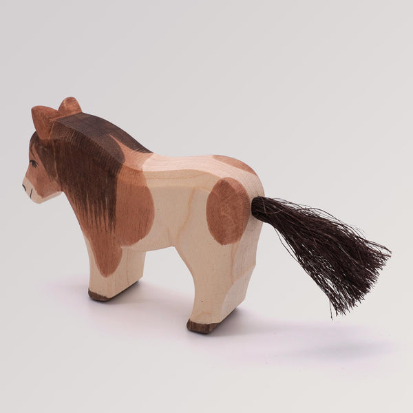 Shetland Pony stehend von Ostheimer