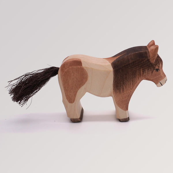 Shetland Pony stehend von Ostheimer