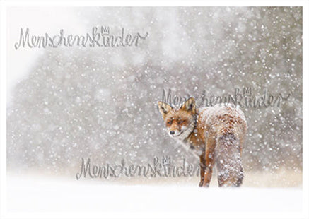 Postkarte - Rotfuchs im Schnee von Rannenberg
