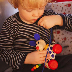 Nachzieh-Hund Nico von Schmidt-Selecta