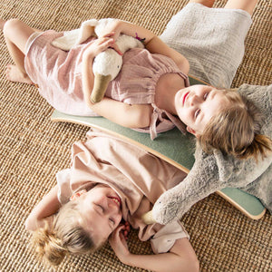 Kuscheltier & Wärmekissen Gans groß in grau von Senger Naturwelt