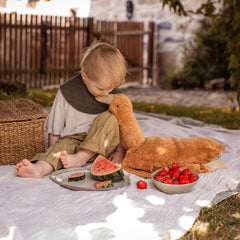 Große Gans in Farbton rost von Senger Naturwelt