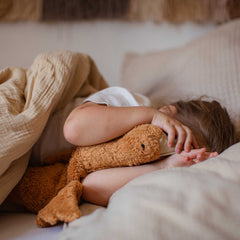 Kuscheltier & Wärmekissen Gans klein in Rost von Senger Naturwelt