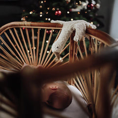 Kuscheltier & Wärmekissen Gans klein in weiß von Senger Naturwelt