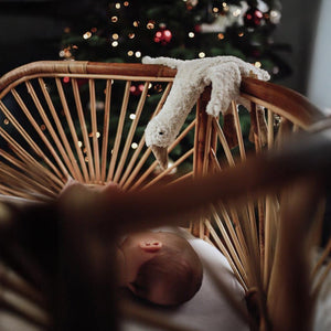 Kuscheltier & Wärmekissen Gans klein in weiß von Senger Naturwelt