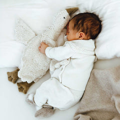 Kuscheltier & Wärmekissen Gans klein in weiß von Senger Naturwelt