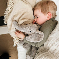 Kuscheltier & Wärmekissen Elefant klein von Senger Naturwelt