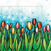 Ziehkarte - Blumenwiese Tulpen von Bärenpresse