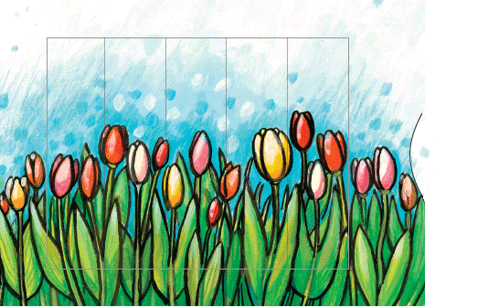 Ziehkarte - Blumenwiese Tulpen von Bärenpresse