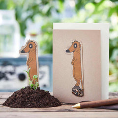 Klappkarte mit Blumensamen - Zahl 1 von Die Stadtgärtner