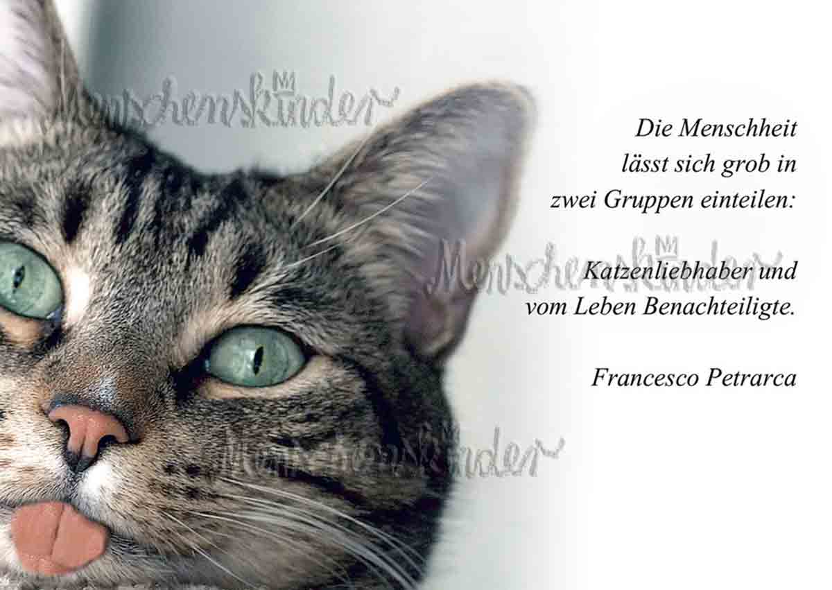 Postkarte - Katzenliebhaber von Discordia