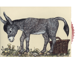 Ziehkarte - Goldesel (Klappkarte) von Discordia