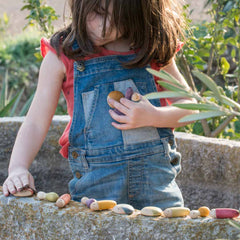 Insects - 18 Insekten von Grapat