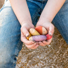 Insects - 18 Insekten von Grapat