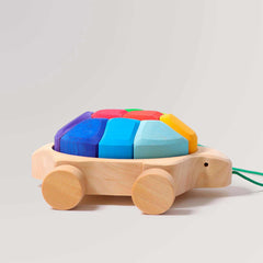 Regenbogen Schildkröte von Grimms