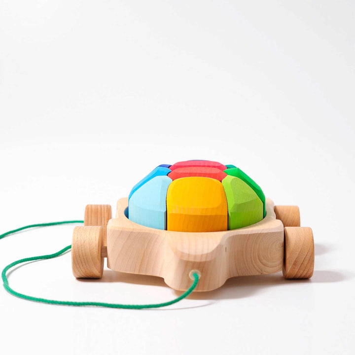 Regenbogen Schildkröte von Grimms