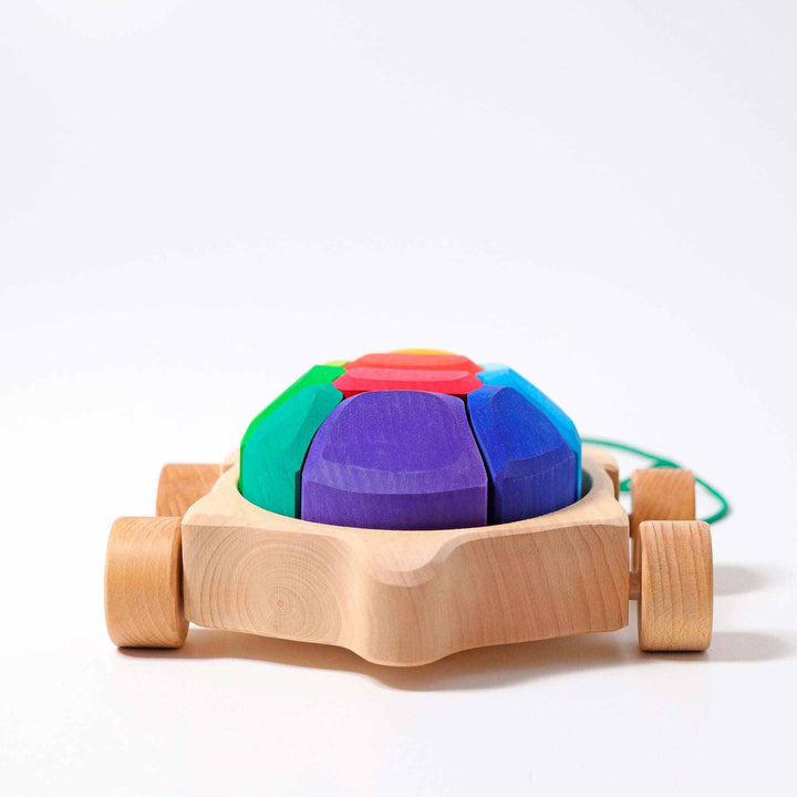 Regenbogen Schildkröte von Grimms