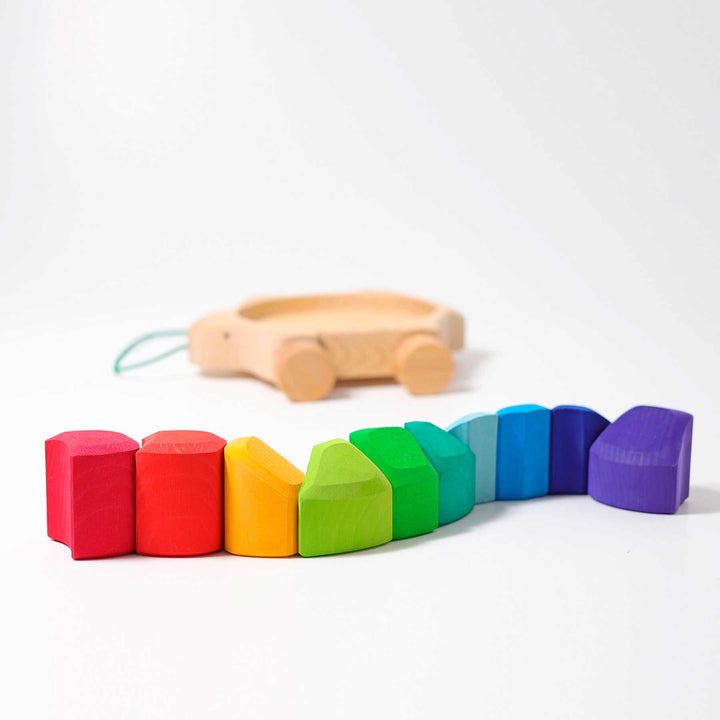 Regenbogen Schildkröte von Grimms