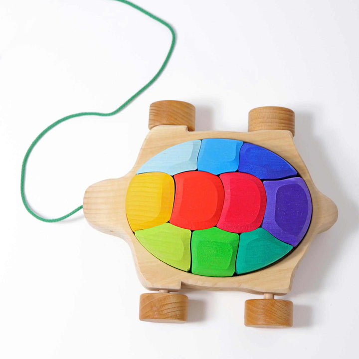Regenbogen Schildkröte von Grimms