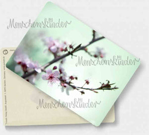 Postkarte - Kirschblüten von Gutrath