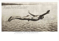 Postkarte- Der Überflieger von Huraxdax