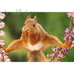 Postkarte - Eichhörnchen mit "Spagat", XXL Karte von Modern Times