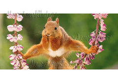 Postkarte - Eichhörnchen mit "Spagat", XXL Karte von Modern Times