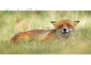 Postkarte - Grinsender Fuchs, XXL Karte von Modern Times