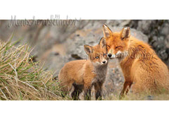Postkarte - Mama Fuchs mit Nachwuchs, XXL Karte von Modern Times