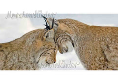 Postkarte - Zugeneigt, XXL Karte von Modern Times