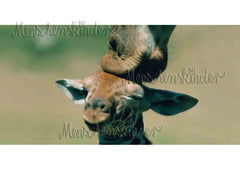 Postkarte - Zweisamkeit, XXL Karte von Modern Times