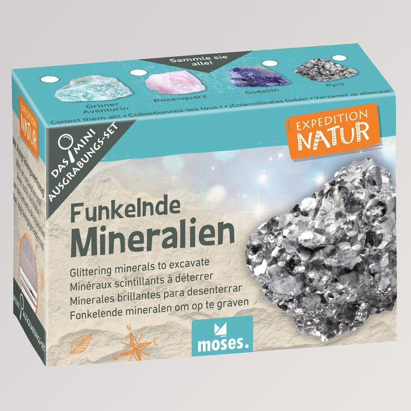 Faszinierende Ausgrabungssets - Funkelnde Mineralien von Moses