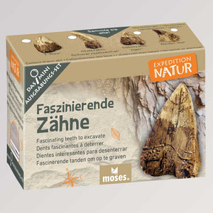 Expedition Natur - Mini-Ausgrabungsset Faszinierende Zähne von Moses