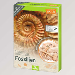 Expedition Natur - Das große Fossilien Ausgrabungs-Set von Moses