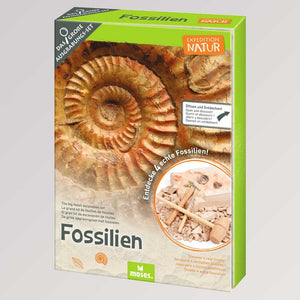 Expedition Natur - Das große Fossilien Ausgrabungs-Set von Moses