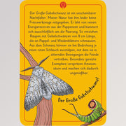 50 wundersame Tierrätsel, Insekten von Moses