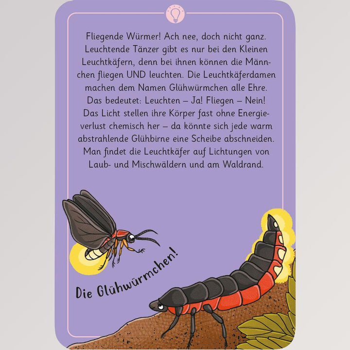 50 wundersame Tierrätsel, Wald von Moses