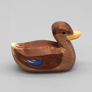 Ente schwimmend von Ostheimer