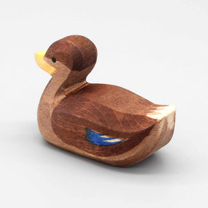 Ente schwimmend von Ostheimer