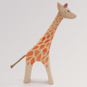 Giraffe groß laufend von Ostheimer