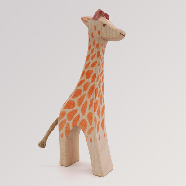 Giraffe groß stehend von Ostheimer