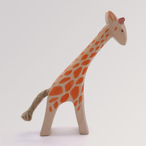 Giraffe klein gebeugt von Ostheimer