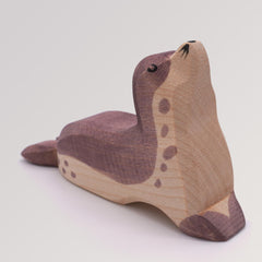 Seehund Kopf hoch von Ostheimer