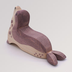 Seehund Kopf hoch von Ostheimer