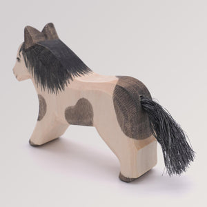 Shetland Pony laufend von Ostheimer