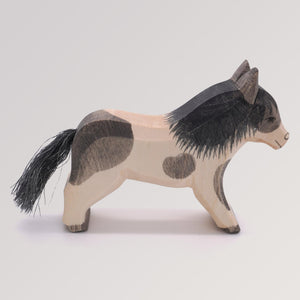 Shetland Pony laufend von Ostheimer