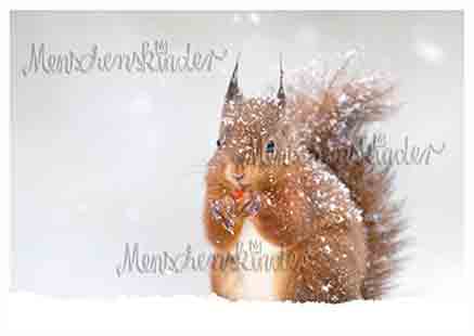 Postkarte - Eichhörnchen im Schnee von Rannenberg